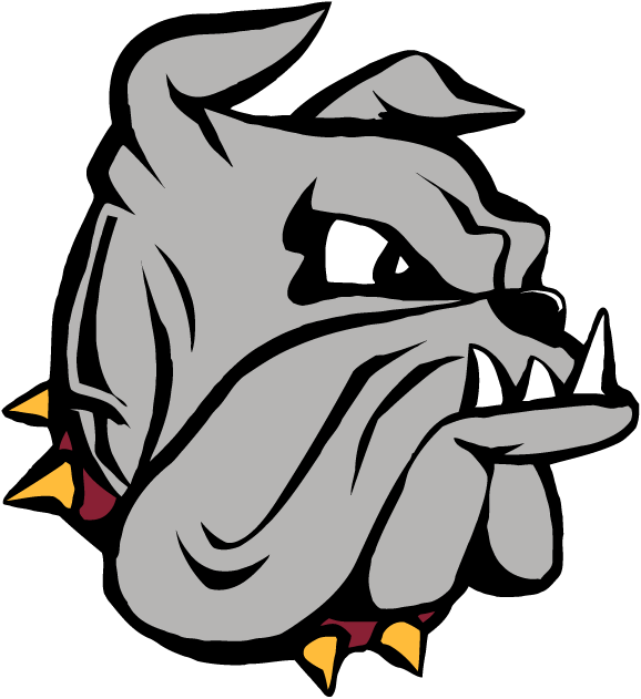 Minnesota-Duluth Bulldogs logos iron-ons